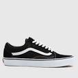mens vans